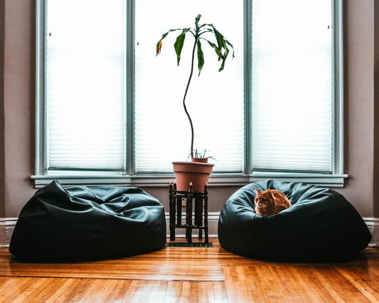 US Black Beanbag